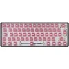 White shark Baltas Shark Baltas Shark Roserift Mechaninė Switches 65 pcs.