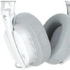 Ausinės White Shark Baltas Shark WGH-2444 Firecrest Baltas
