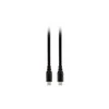 Adapteris Rode SC18 (USB C-USB A) 1,5m