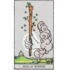 AGM Tarot Von A.E. Waite - Icards GB Kortos
