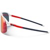 Sunglasses Julbo Density Spectron Raudona