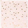 Albumas GOLDBUCH 08034 Finamente rose 30x31 60psl | kampučiai/lipdukai | knyginio rišimo[V]