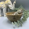 Ancient Wisdom Dvasinė Dubuo - Buda Senovinė Išmintis 14x7 Indijos Mangų Medis