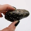 Ancient Wisdom Guinea Fowl Large (6 Vnt. L Dydžio)