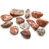 Ancient Wisdom Light Jasper - Brecciated Akmuo (12 Vnt. M Dydžio)