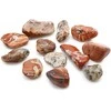 Ancient Wisdom Light Jasper - Brecciated Akmuo (12 Vnt. M Dydžio)