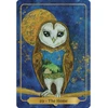 Animal Dreaming Sacred Blessings Oracle Kortos