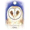 Animal Dreaming Spirit Animals Message kortos