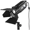 Apšvietimo įranga - Godox S30 Focusing LED Light Kit 5600K 96 CRI/TLCI