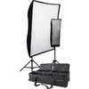 Apšvietimo įranga - Westcott Spiderlite TD6 Perfect Portrait 2 Light Deluxe (2 galvos, minkšti dėžės, fluorescencinės)