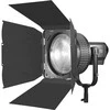 Apšvietimo priedas - Godox Fresnel Barndoor 10 Inch Lens 8 Leaf Juodas