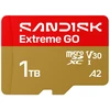 SanDisk Extreme GO 1 TB Micro SDXC UHS-I atminties kortelė