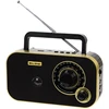 Audio Įranga - Blow 77-542 Nešiojama Radijo Stotis Su AM/FM, Bluetooth, USB/SD - Auksinė