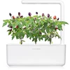 Augalų Kapsulė - Click & Grow Violetinė Chili Pepper 3 Vnt.