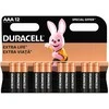 Baterija - Duracell Basic AAA 1.5V Alkalinės Baterijos 12 vnt.
