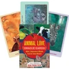 Bear And Company Animal Love Oracle Kortos