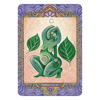 Bear And Company The Triple Goddess Tarot Kortos