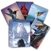 Beyond Words Meditacijos Kortos Bird Vibes Beyond Woords