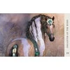 Blue Angel Mėlyna Angel Mėlyna Angel Horse Wisdom Oracle Kortos