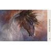 Blue Angel Mėlyna Angel Mėlyna Angel Horse Wisdom Oracle Kortos