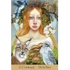 Blue Angel Mėlyna Angel Mėlyna Angel Maidens Of The Wheel Oracle Kortos