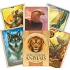 Blue Angel Mėlyna Angel Mėlyna Angel The Secret Language Of Animals Oracle Kortos