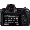 Canon EOS R + RF 24-105mm f/4L IS USM