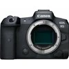 Canon EOS R5 + RF 24-240mm f/4-6.3 IS USM