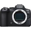 Canon EOS R6 Mark II korpusas