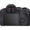 Canon EOS R6 Mark II + RF 24-105mm f/4L IS USM + Mount Adapteris EF-EOS R