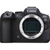 Canon EOS R6 Mark II + RF 24-240mm f/4-6.3 IS USM + Mount Adapteris EF-EOS R