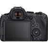 Canon EOS R6 Mark II + RF 24-240mm f/4-6.3 IS USM
