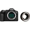 Canon EOS R6 Mark III + Mount Adapteris EF-EOS R