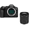 Canon EOS R6 Mark III + RF 24-105mm F4-7.1 IS STM