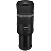 Canon EOS R8 + RF 600mm f/11 IS STM