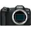 Canon EOS R8 + RF 600mm f/11 IS STM + Mount Adapteris EF-EOS R