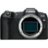 Canon EOS R8 + RF 800mm f/11 IS STM
