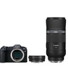 Canon EOS RP + RF 600mm f/11 IS STM + Mount Adapteris EF-EOS R