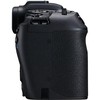 Canon EOS RP + RF 600mm f/11 IS STM + Mount Adapteris EF-EOS R