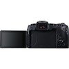Canon EOS RP + RF 600mm f/11 IS STM