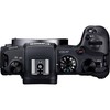 Canon EOS RP + RF 600mm f/11 IS STM