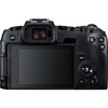 Canon EOS RP + RF 600mm f/11 IS STM