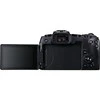 Canon EOS RP + RF 800mm f/11 IS STM
