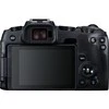 Canon EOS RP + RF 800mm f/11 IS STM