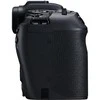 Canon EOS RP + RF 800mm f/11 IS STM