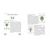 Cico Books Tree Magick Oracle Kortos