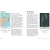 Cico Books Unusual Animal Messages Oracle kortos