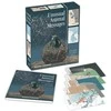Cico Books Unusual Animal Messages Oracle kortos