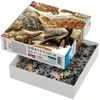 Dėlionė Cenega Puzzle Good Loot Imagination - Ernst Haeckel: Sea Turtles 1000 pc(s)