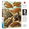 Dėlionė Cenega Puzzle Good Loot Imagination - Ernst Haeckel: Sea Turtles 1000 pc(s)